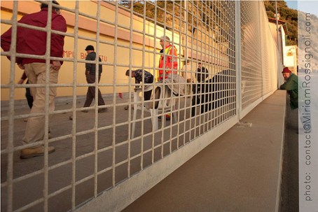 6717038621_246635749e