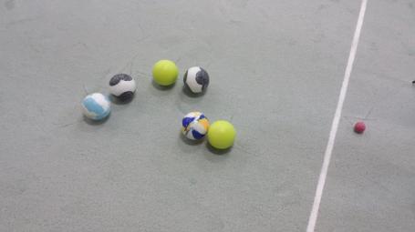 Foto Armando Martini