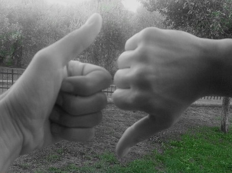 chi sale e chi scende