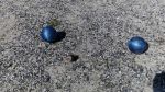 Petanque Riparbella 25 marzo&nbsp;(1)